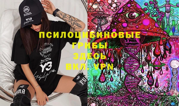 ешки Абинск