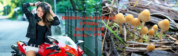 соль ск Абдулино