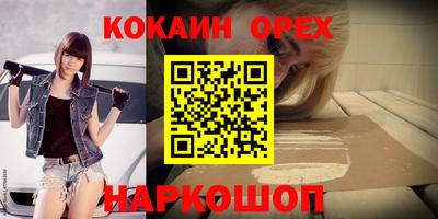 спиды Кингисепп