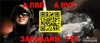 спиды Кингисепп