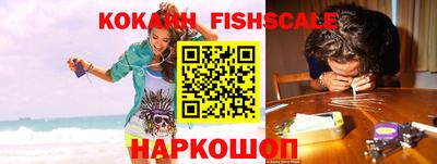 спиды Кингисепп