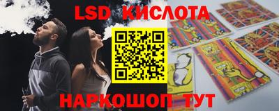 спиды Кингисепп