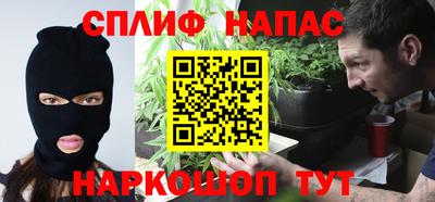 спиды Кингисепп