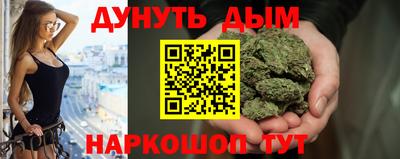 спиды Кингисепп