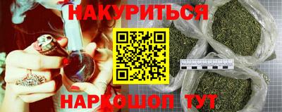 спиды Кингисепп