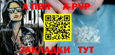 спиды Кингисепп