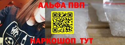 спиды Кингисепп