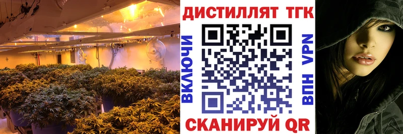 ТГК жижа  где можно купить   Новоалтайск 