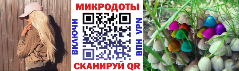 Псилоцибиновые грибы мухоморы Новоалтайск